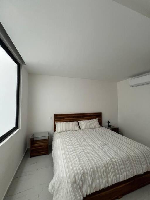 Big, Modern And Beautiful Beach Apartament 1Br Ocean View 普拉亚卡门 外观 照片