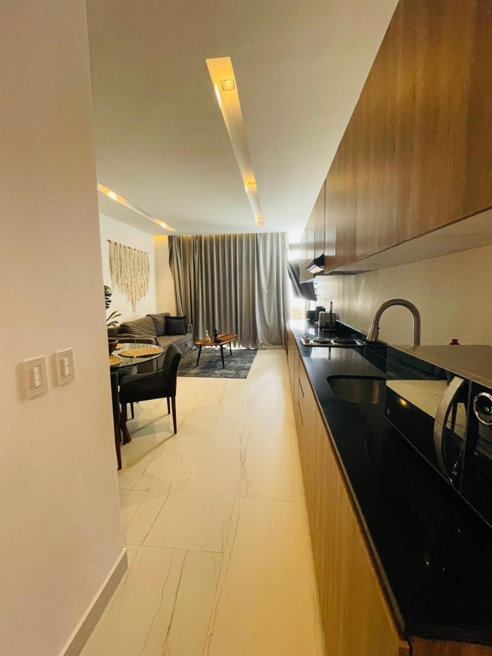 Big, Modern And Beautiful Beach Apartament 1Br Ocean View 普拉亚卡门 外观 照片